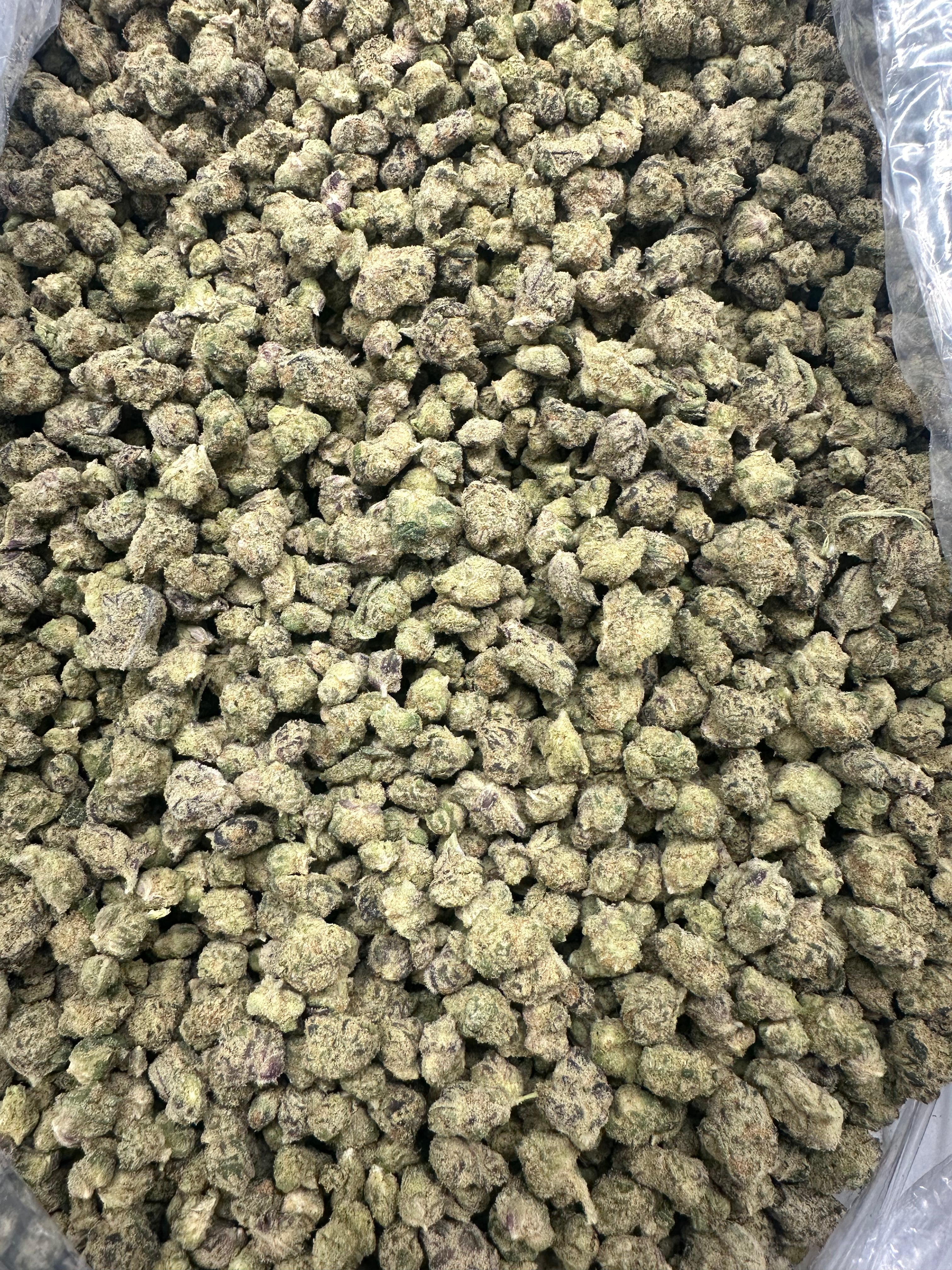 Bacio Gelato Smalls
