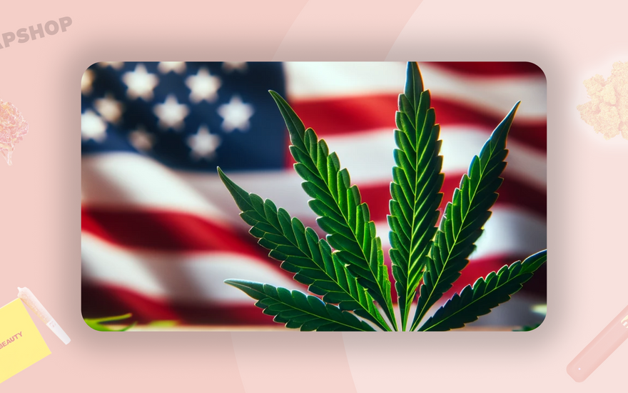 Cannabis Legality in the USA in 2024: Looking at Federal and State Law, as well as Online Businesses