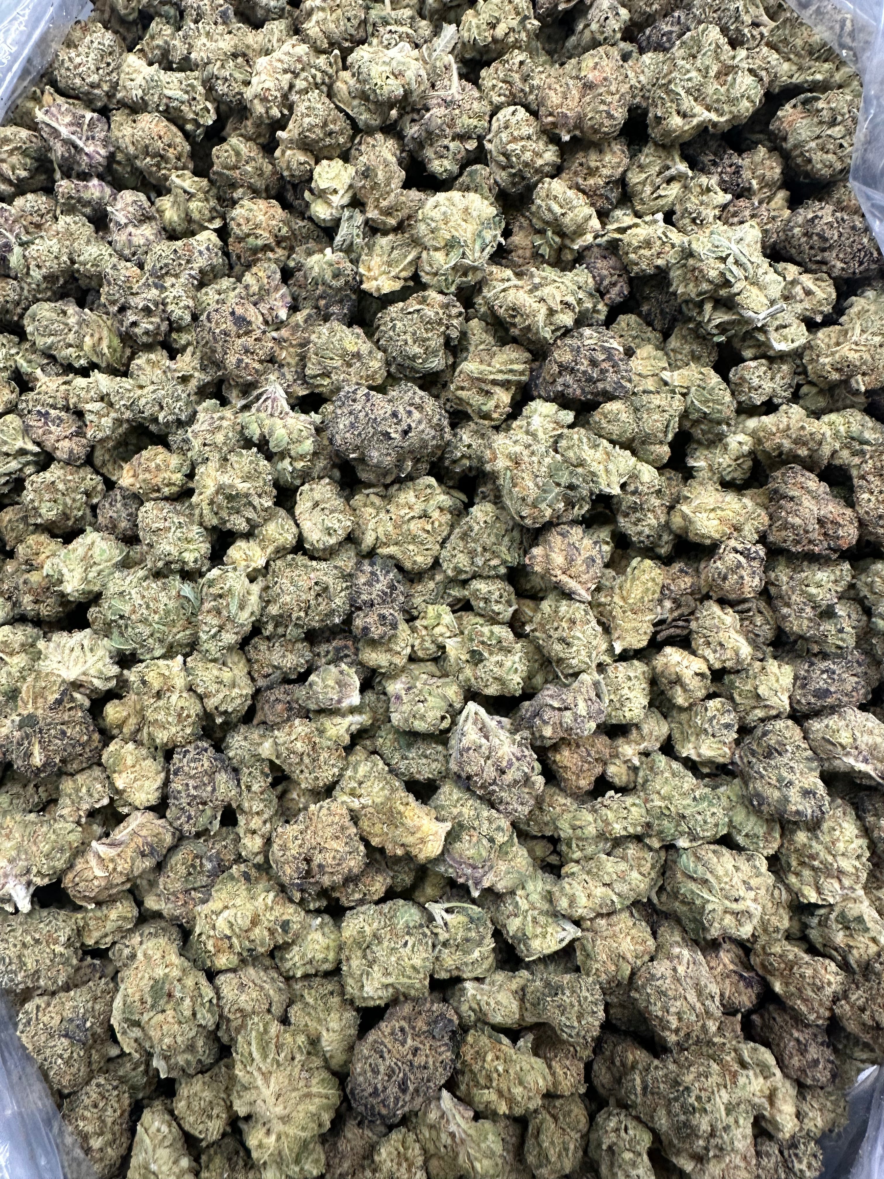 Grape Stomper Smalls