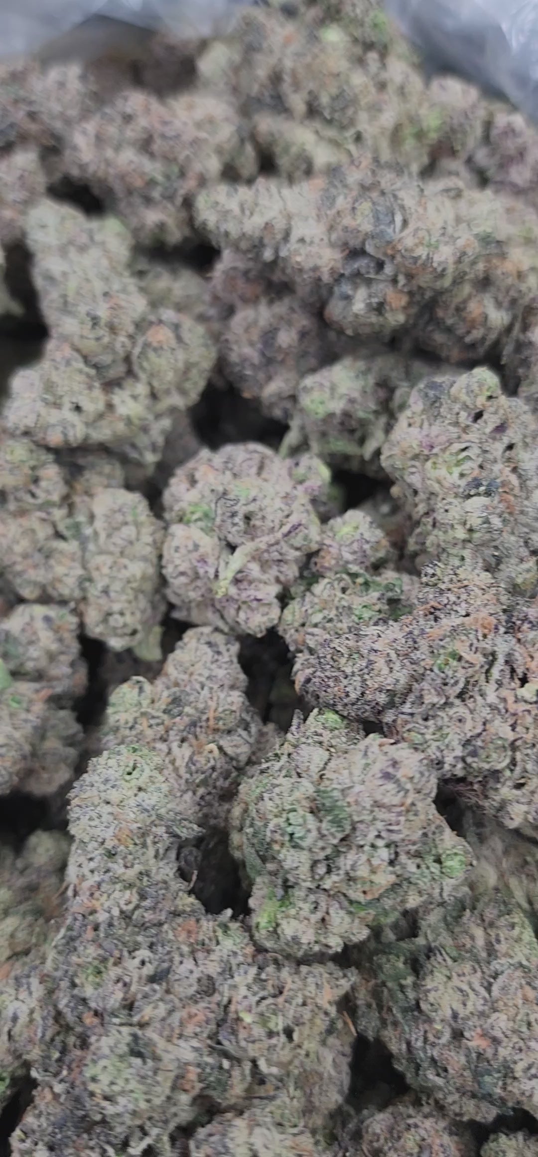 LA POP Rocks X PPP / Tops (R26)