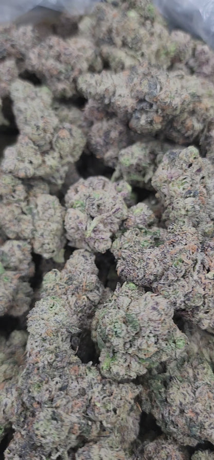 LA POP Rocks X PPP / Tops (R26)