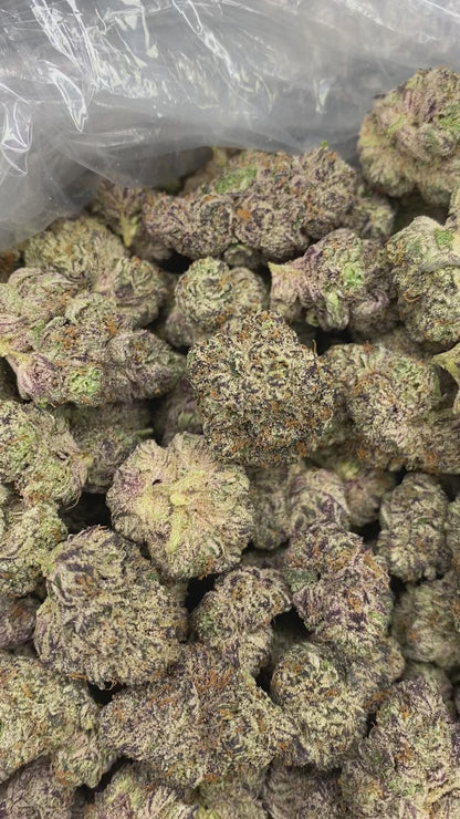 Purple Cream (R11)
