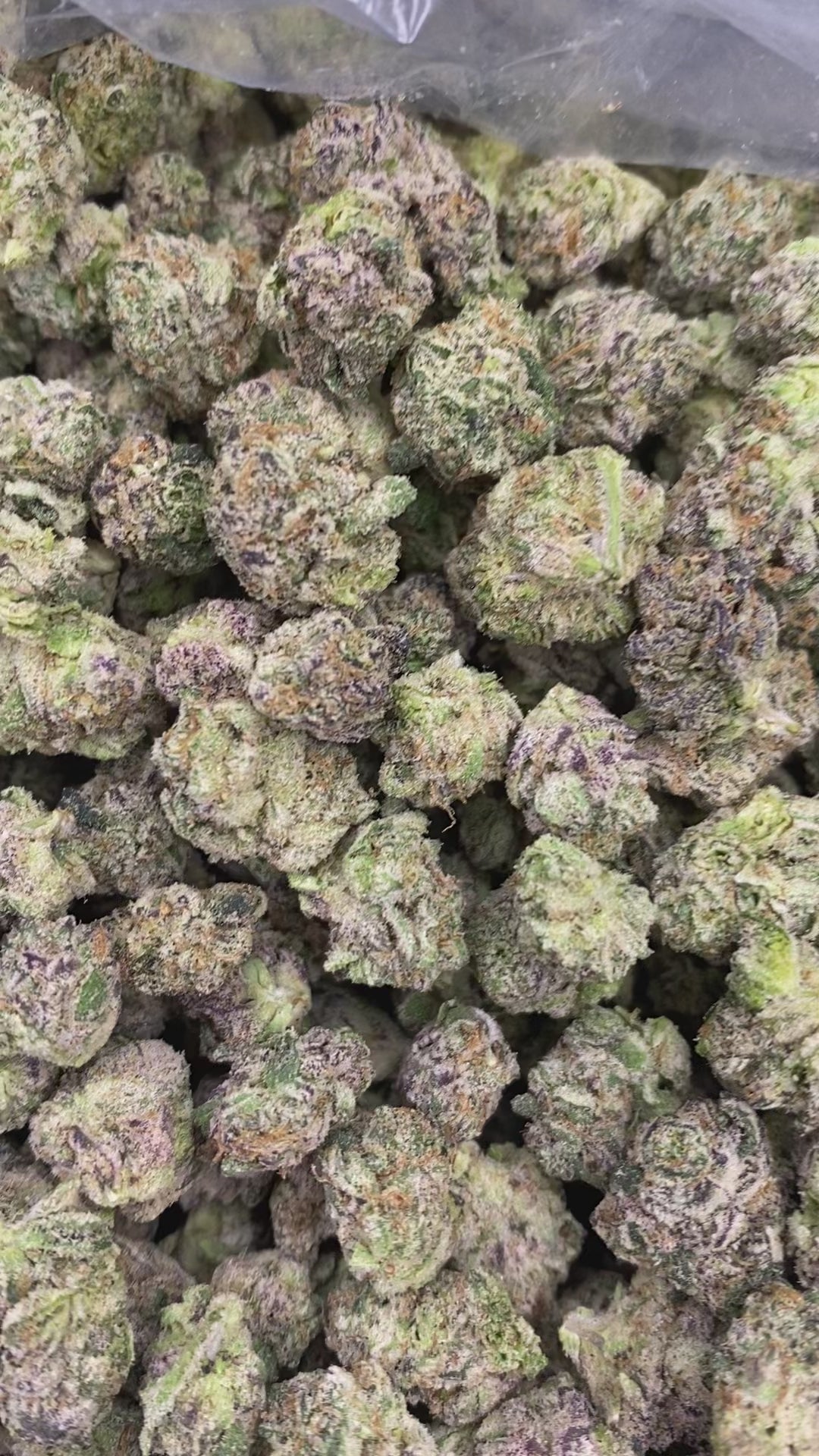 Load video: LA Pop Rocks x PPP (R26/5)