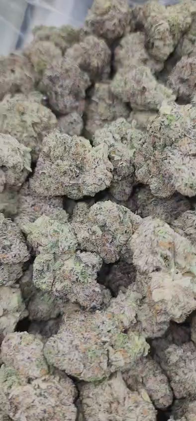 LA POP Rocks X PPP (R5)