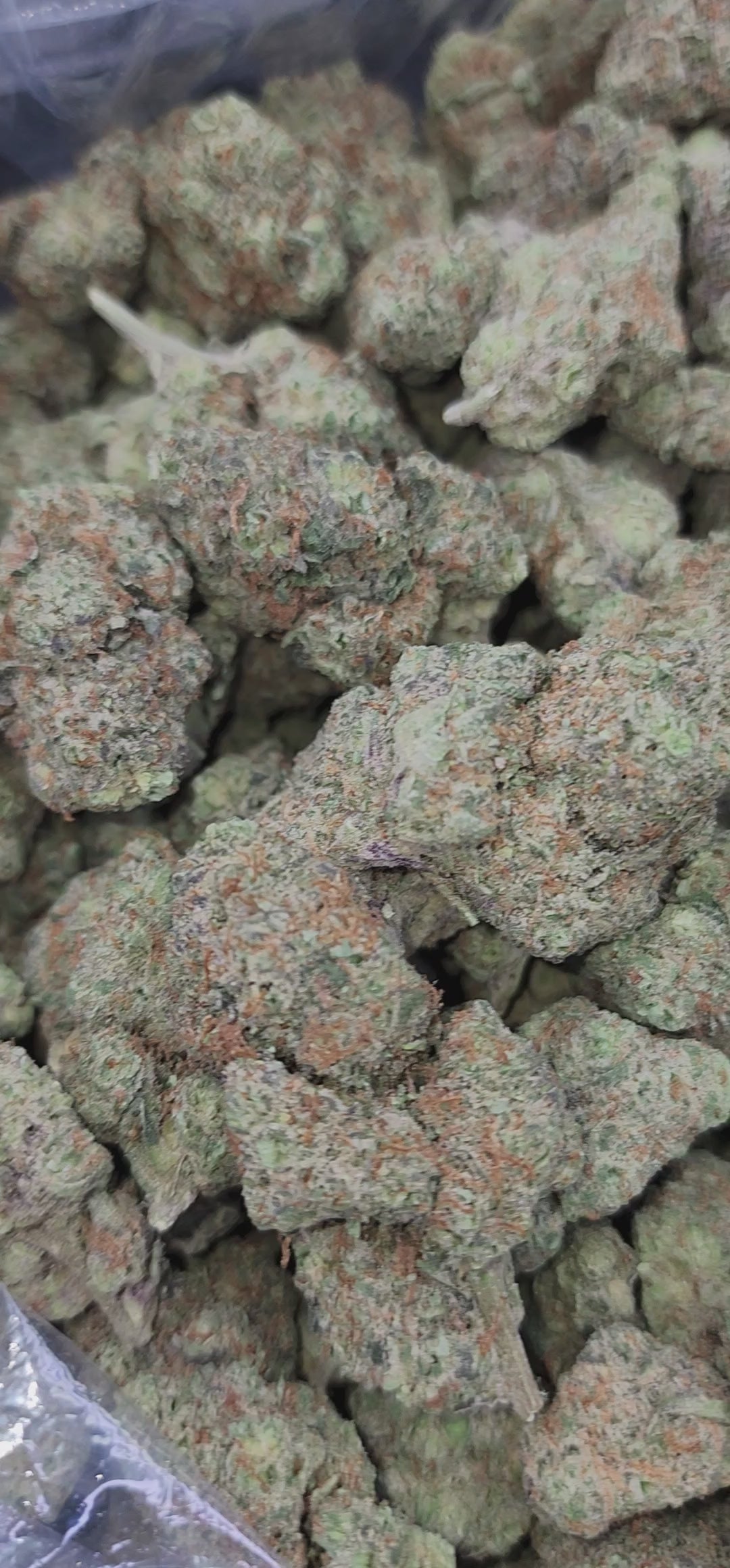 C99 x Riddle OG #3 (R7)