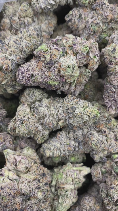 LA POP Rocks X PPP (R26)