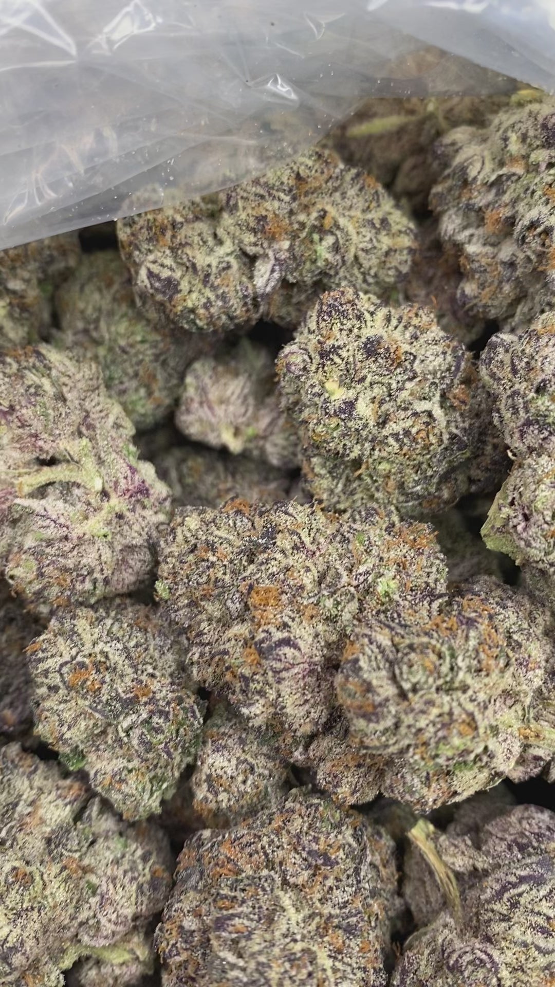 Load video: Zmoothiez (R23)