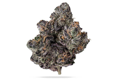 Purple Cream (R11)